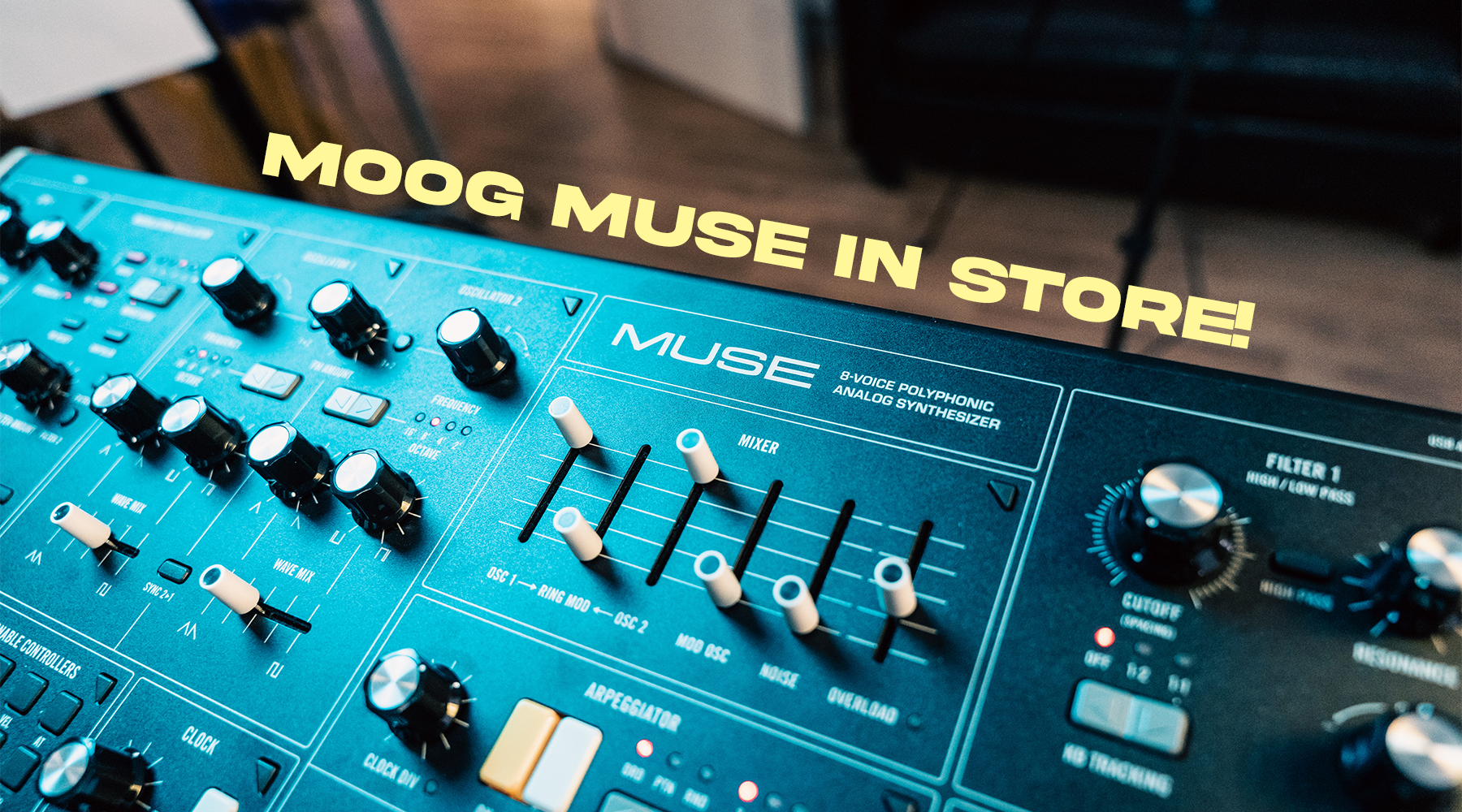 Moog Muse in store to demo. Pre Order today to secure yours!