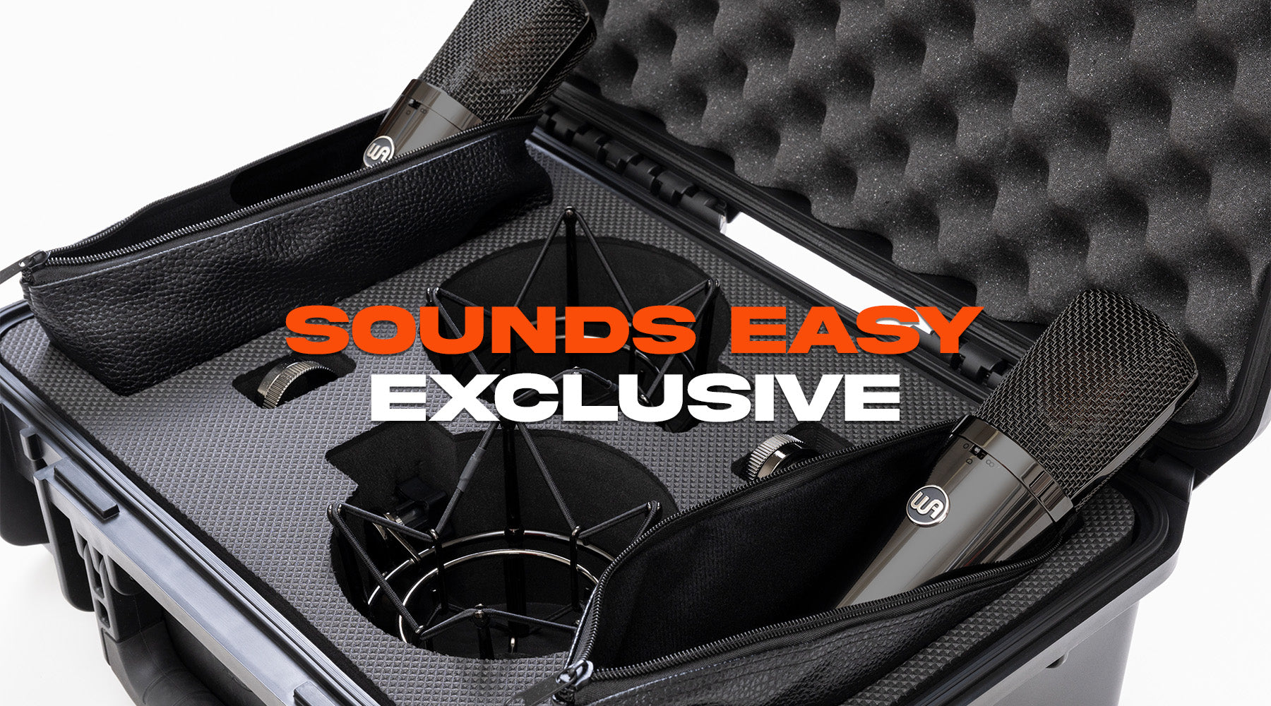 Sounds Easy Warm Audio Exclusive (Ends November 2nd)