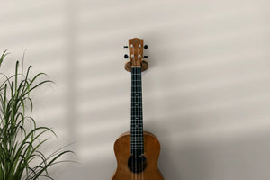 Openhagen HangWithMe Ukulele Wall Mount