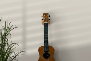 Openhagen HangWithMe Ukulele Wall Mount