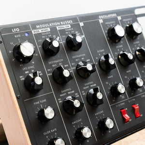 Moog Minimoog Maple Anniversary Edition Voyager - DISPLAY STOCK