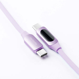 MyVolts Step Up USB-C to USB-C PD Cable with LCD Power Meter, Jellybean Purple