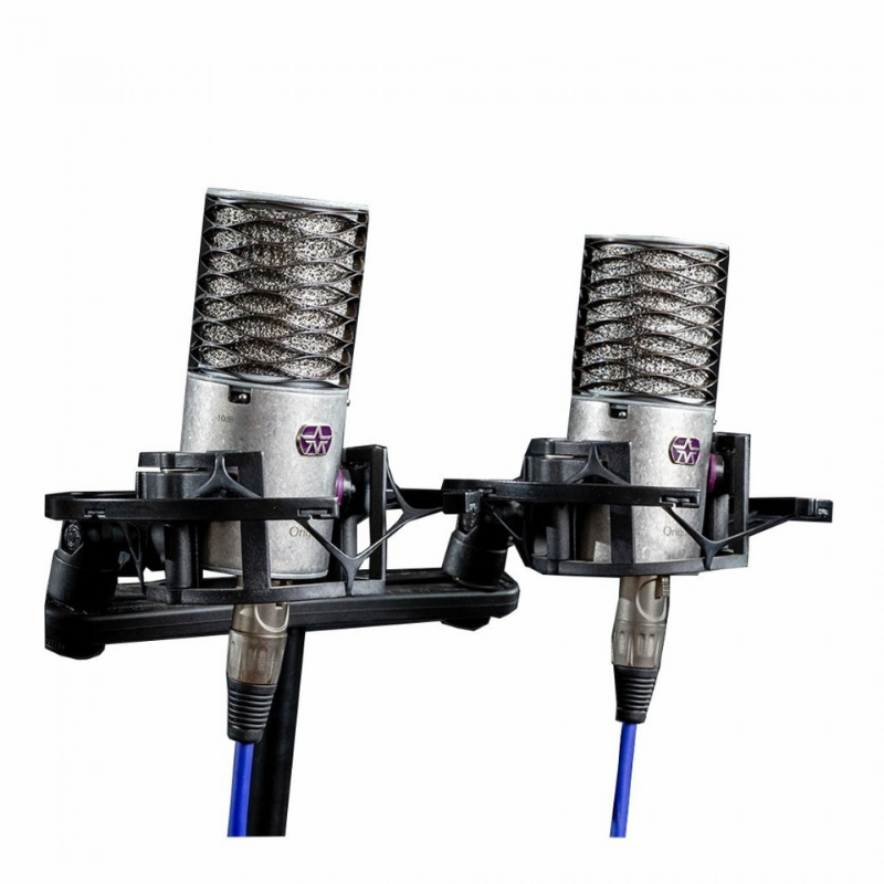 Aston Microphones Origin Stereo Pair