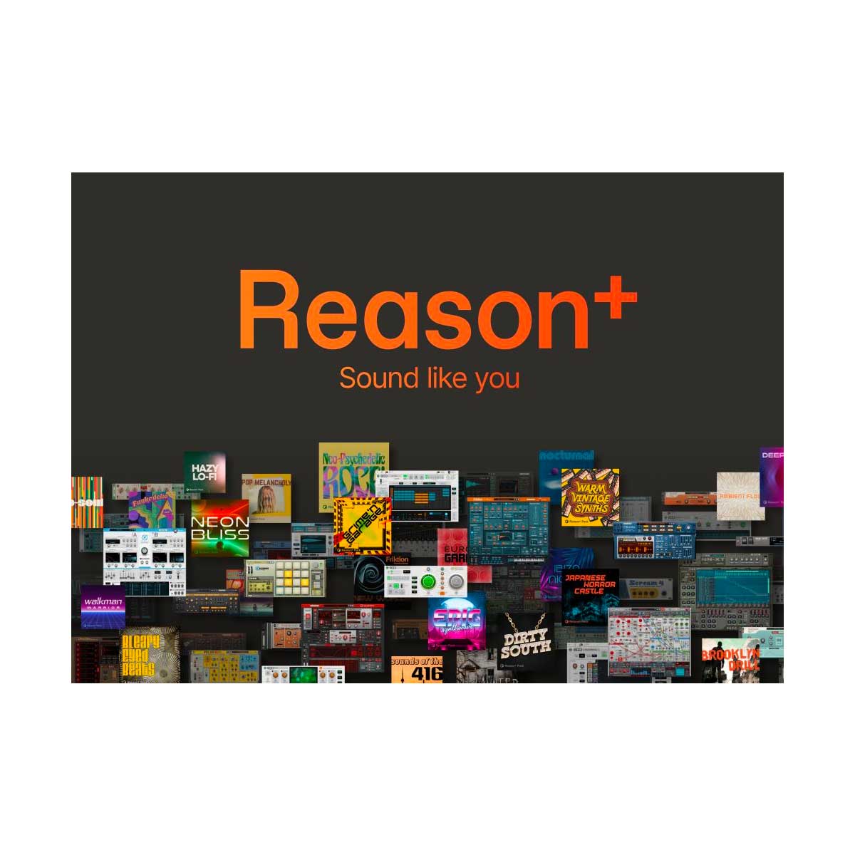 Reason Plus 1 YEAR Subscription